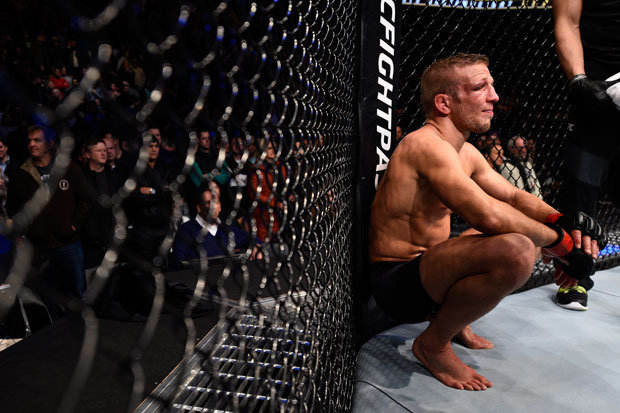 tj dillashaw ufc Dillashaw se retira de la UFC