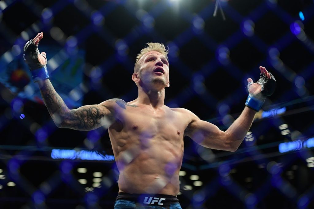 tj dillashaw ufc Dillashaw se retira de la UFC