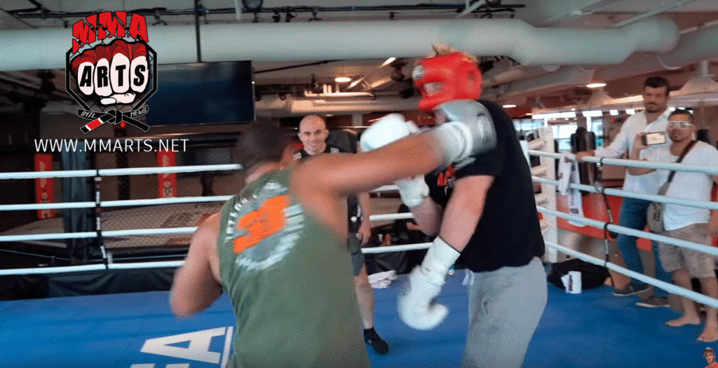 LOGAN PAUL VS PAULO COSTA