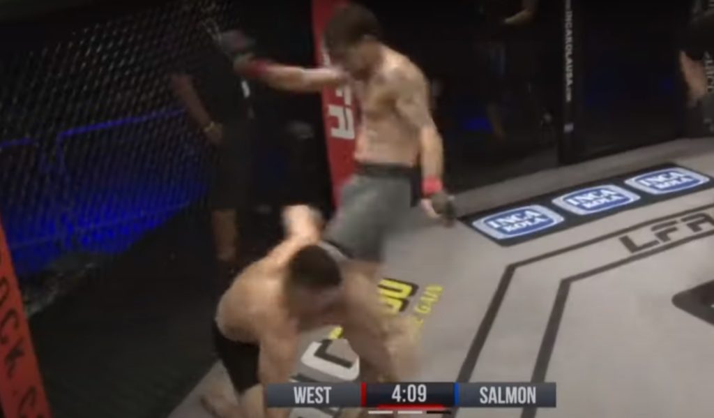 BOSTON SALMON RODILLAZ