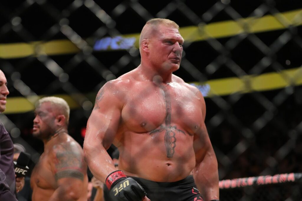 BROCK LESNAR UFC