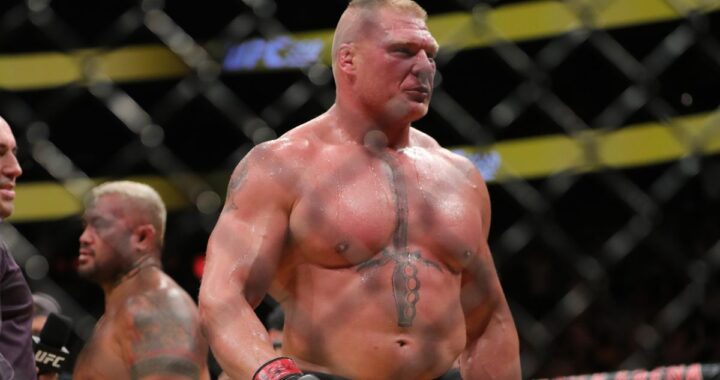 BROCK LESNAR UFC