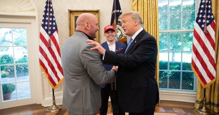trump, covington y white
