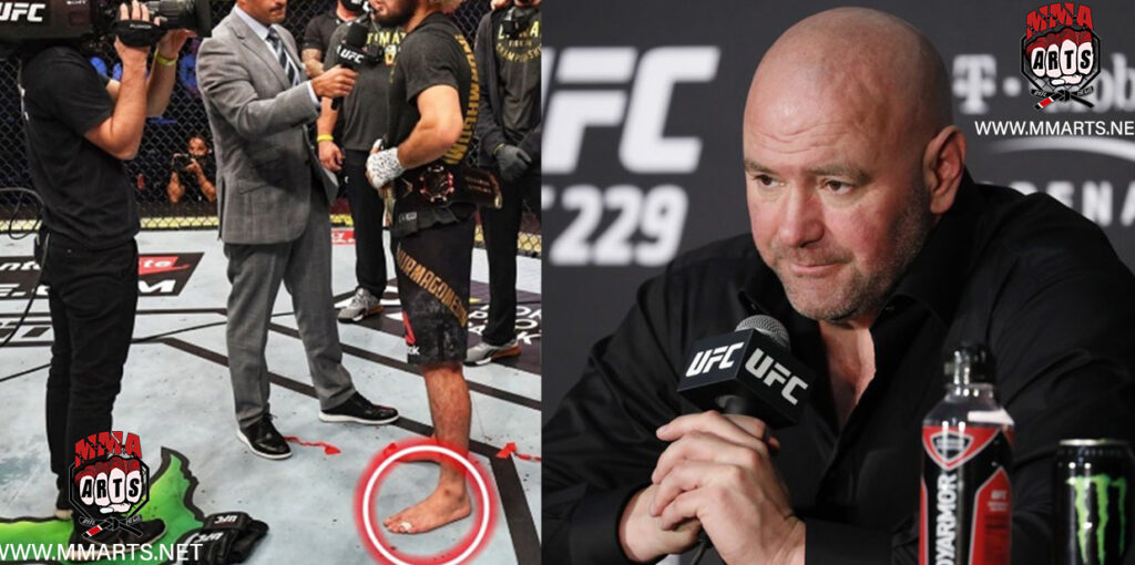 KHABIB PIE ROTO ufc 254