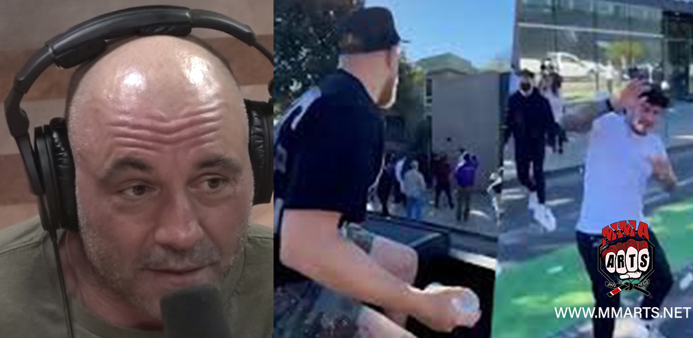 JOE ROGAN JAKE PAUL DILLON DANIIS