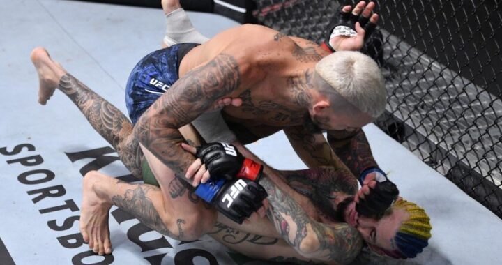 chito vera vs sean omalley