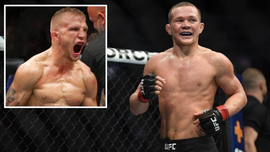 tj dillashaw vs pter yan
