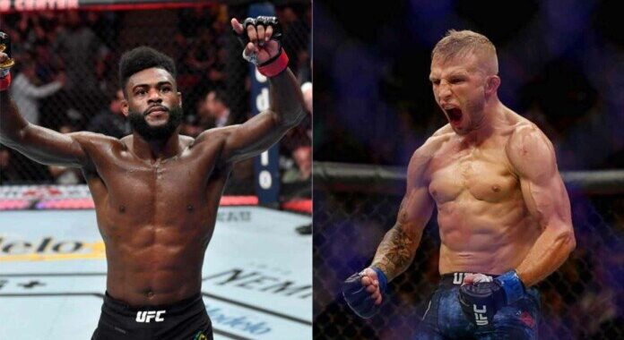 Aljamain-Sterling vs TJ-Dillashaw