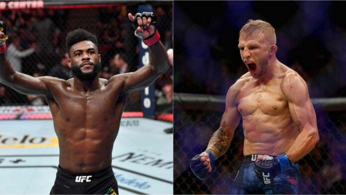Aljamain-Sterling vs TJ-Dillashaw