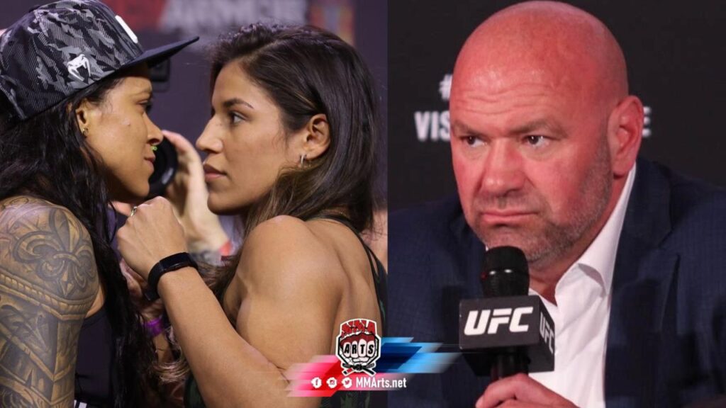 amanda nunes vs julianna peña UFC