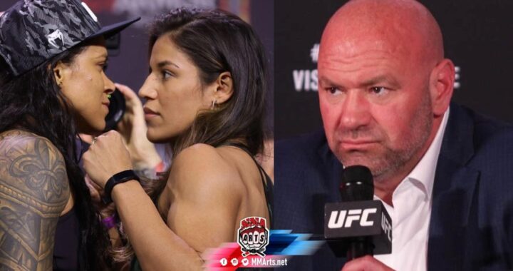 amanda nunes vs julianna peña UFC