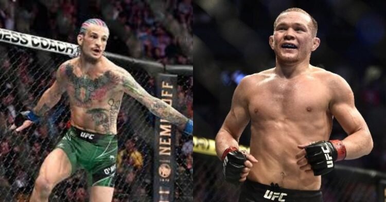 sean omalley vs petr yan ufc 280 en vivo carletra (1)