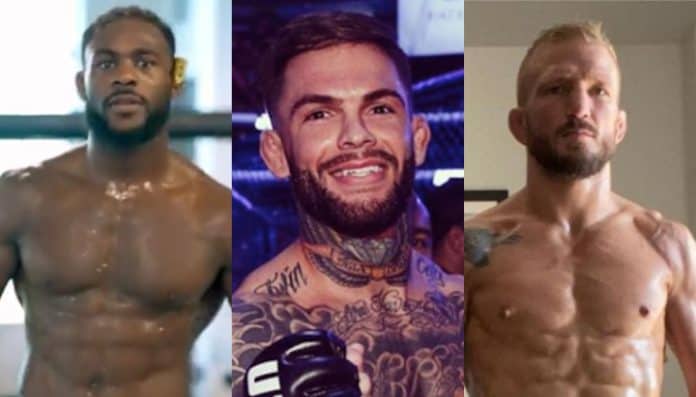 Aljamain-Sterling-Cody-Garbrandt-TJ-Dillashaw-UFC-retiro