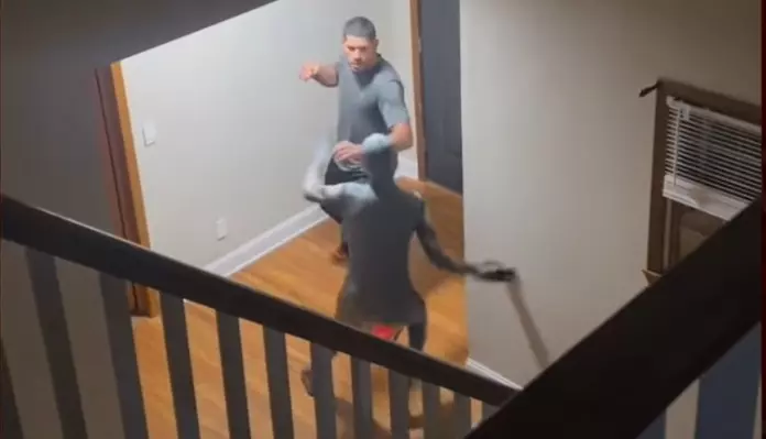 Alex-Pereira.jpg UFC