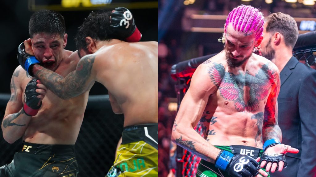 alexandre pantoja, sean omalley brandon moreno UFC