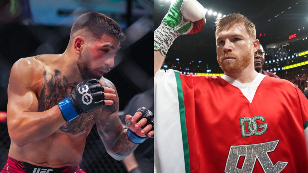 ilia topuria canelo alvarez UFC