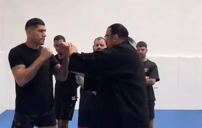 alex-pereira-steven-seagal-UFC 300